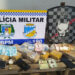 Polícia Militar