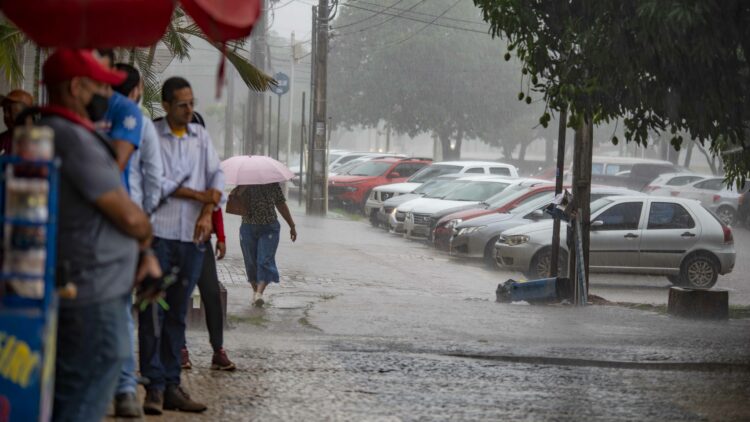 Foto: Luciana Pires