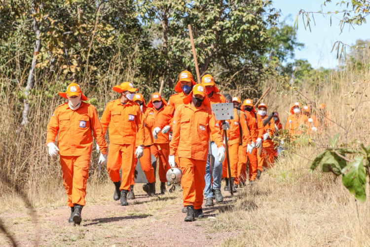 Foto: Luiz Henrique Machado/Governo do Tocantins