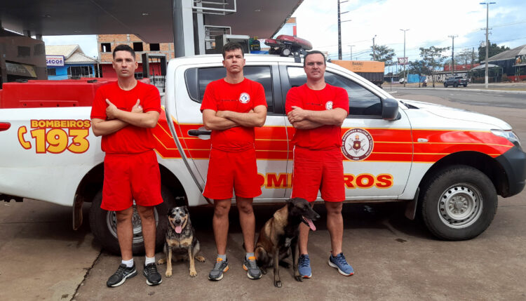 Foto: Corpo de Bombeiros/Governo do Tocantins