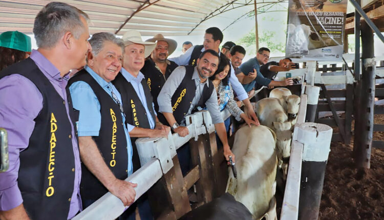 Foto: Esequias Araújo/Governo do Tocantins