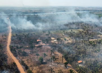 Incêndio florestal atinge zona rural de São Miguel do Tocantins — Foto: Reprodução