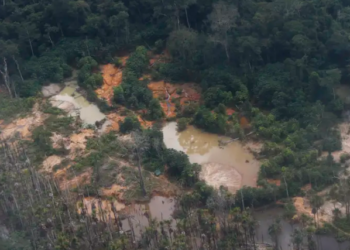 Áreas de garimpo ilegal na Terra Indígena Yanomami vistas em sobrevoo ao longo do rio Mucajaí. Fernando Frazão/Agência Brasil