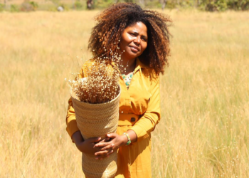 Moradora da comunidade Mumbuca, Sirlene Matos, explicou que a colheita simbólica é uma oportunidade para os visitantes vivenciarem a experiência da coleta do capim-dourado no campo