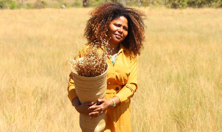 Moradora da comunidade Mumbuca, Sirlene Matos, explicou que a colheita simbólica é uma oportunidade para os visitantes vivenciarem a experiência da coleta do capim-dourado no campo