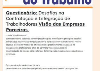 Pesquisas aplicadas pelo Observatório do Mercado de Trabalho do Sine/Tocantins, para empresários, servidores do Sine e trabalhadores em geral